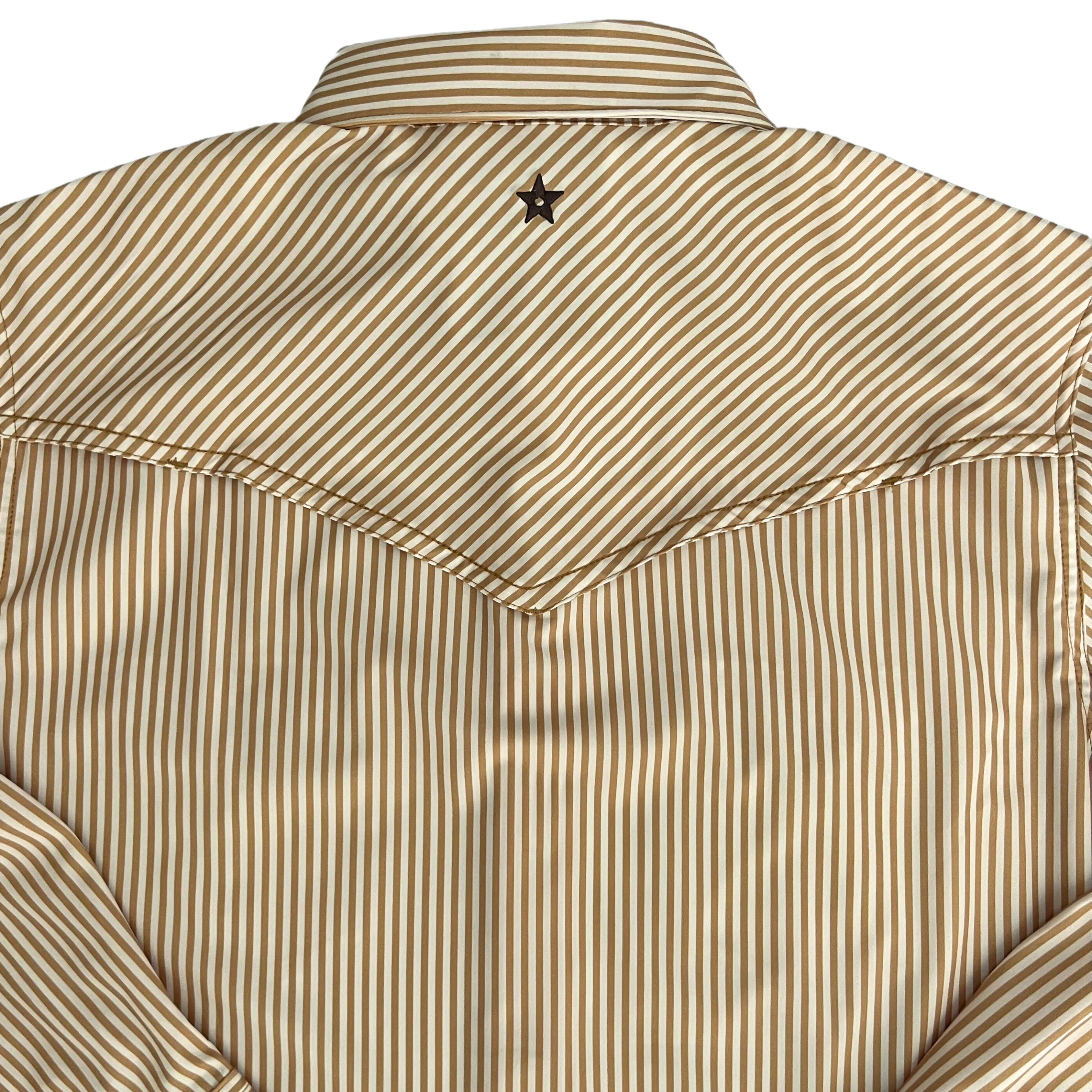 Desert Cowboy Stripe Long Sleeve Performance Western Shirt