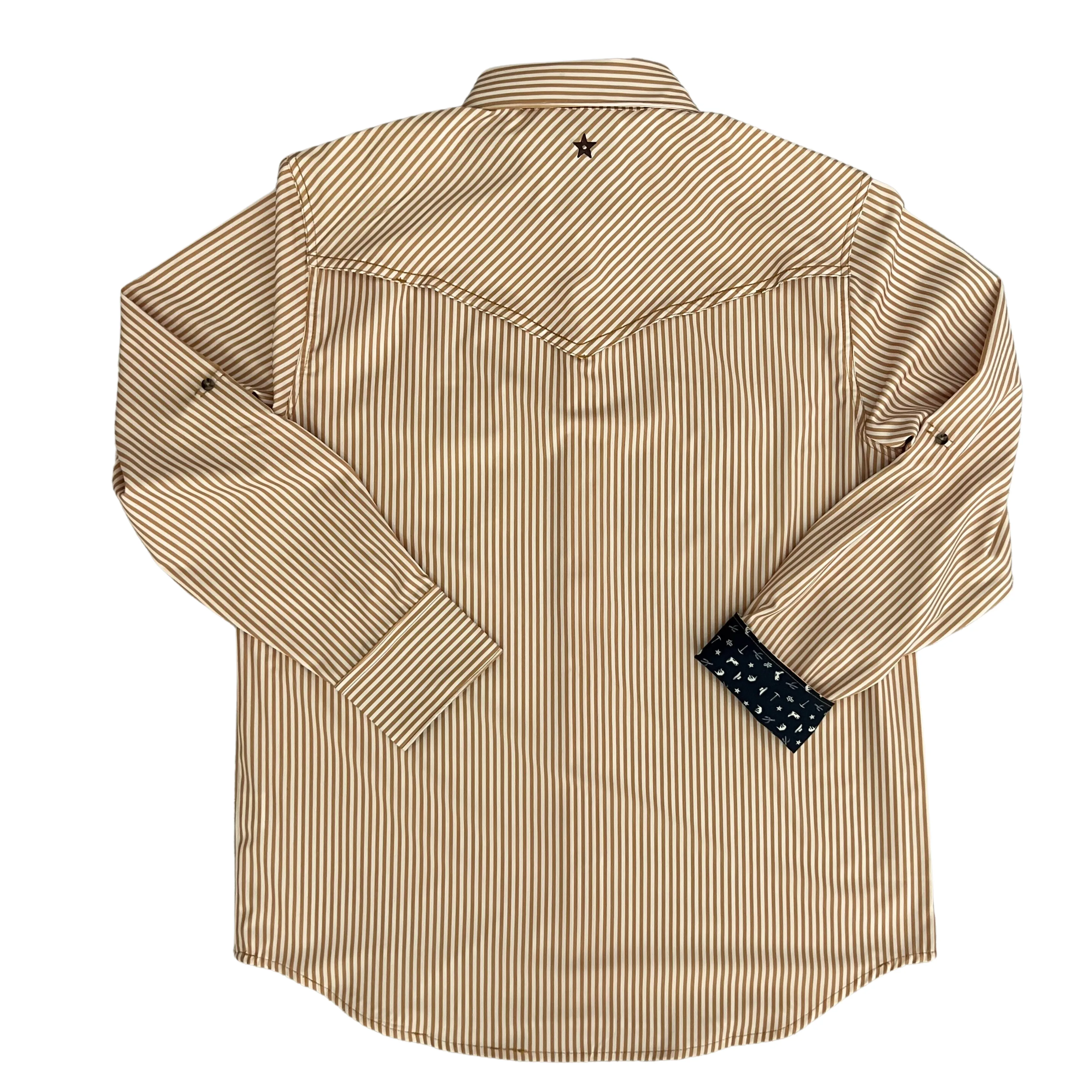 Desert Cowboy Stripe Long Sleeve Performance Western Shirt
